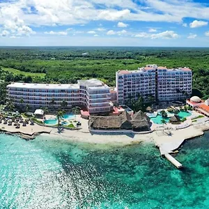 book here